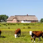 0002-romo-juvrevej-89 * Toftum (Syddanmark)