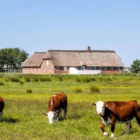 0002-romo-juvrevej-89 בית נופש Toftum (Syddanmark)