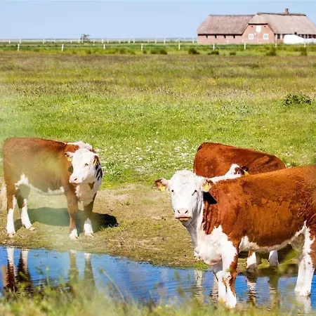 0002-romo-juvrevej-89 בית נופש Toftum (Syddanmark)